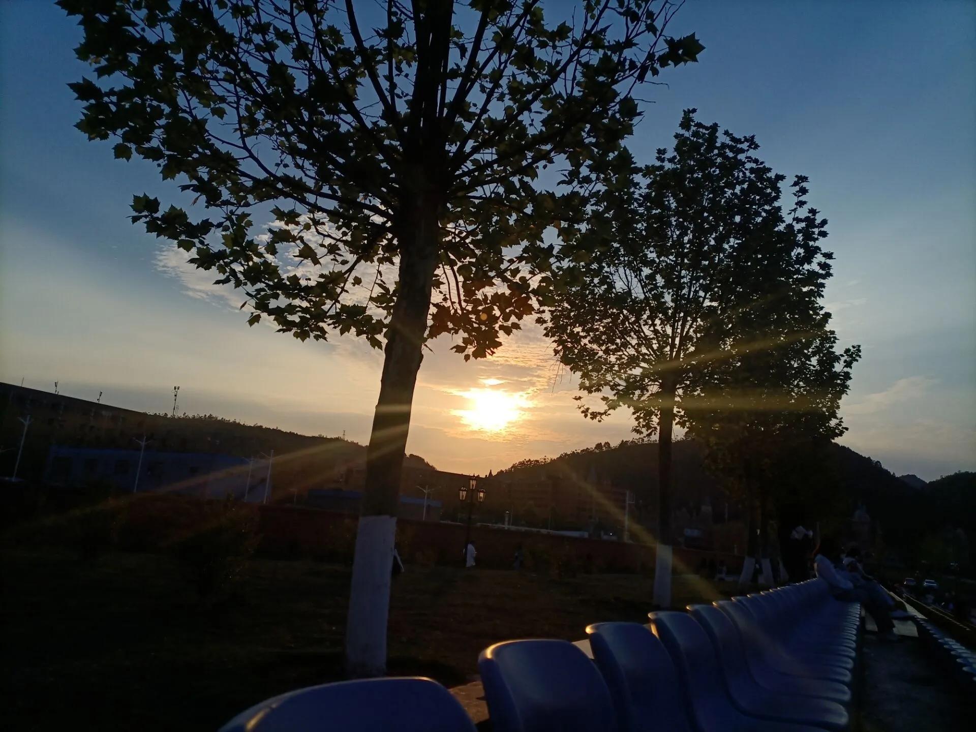 春意渐浓本周气温,春意渐浓时