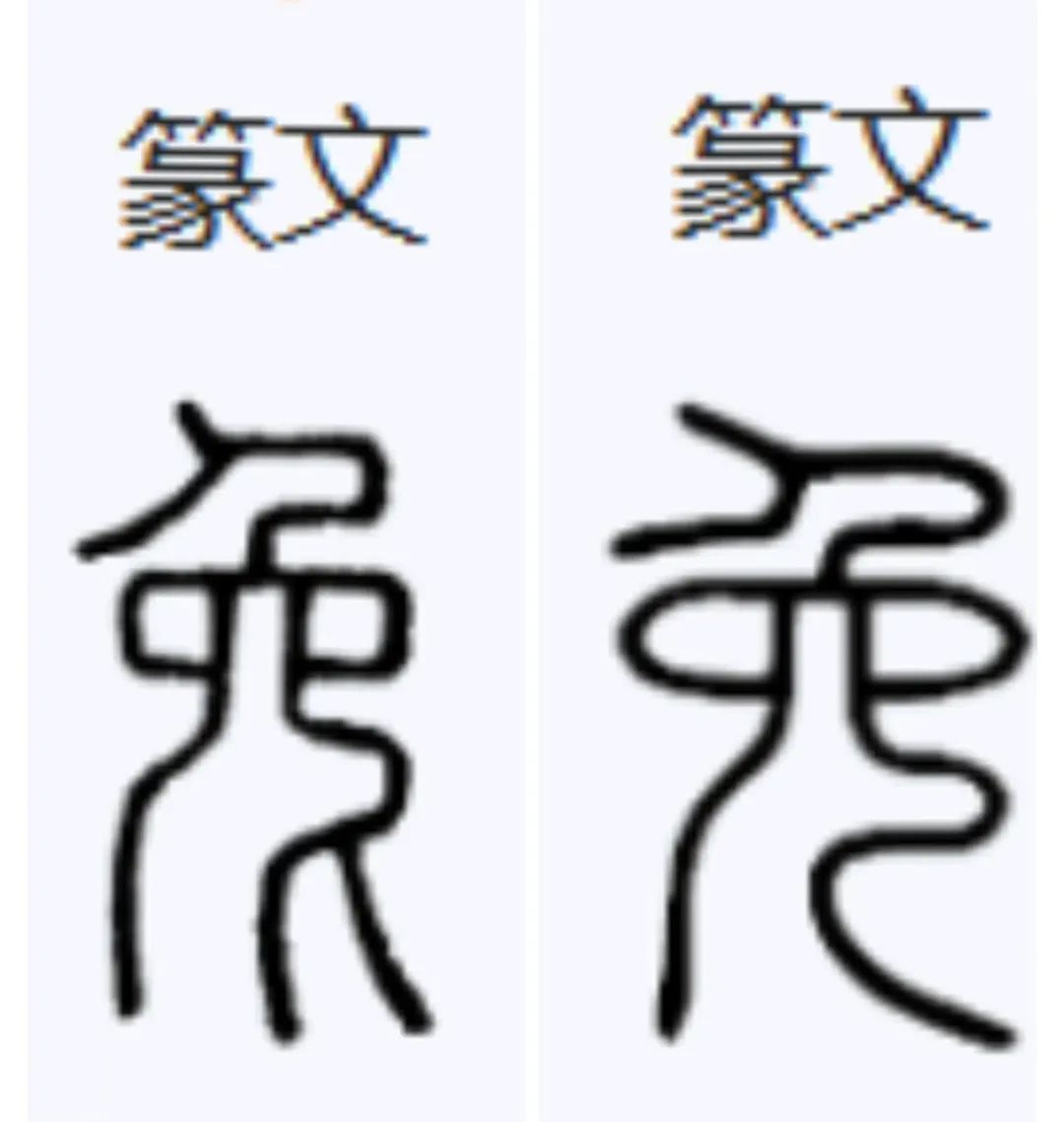 兔年说兔事内涵,兔年说兔