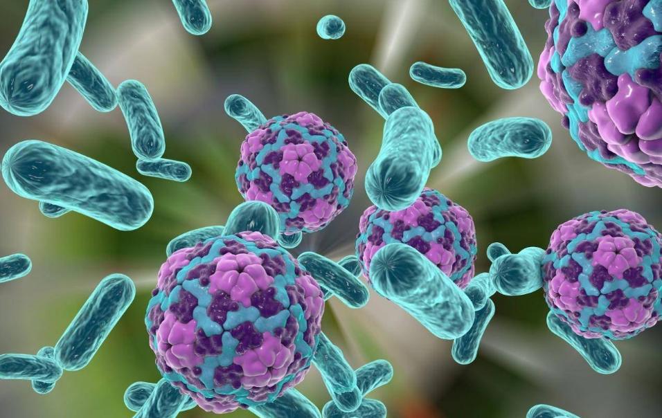 肝血亏虚会导致肝硬化吗,肝硬化了怎么养肝血