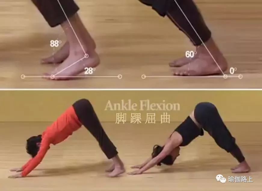 练瑜伽半年怎么走向高阶体式,练瑜伽我们不需要追求高难度体式