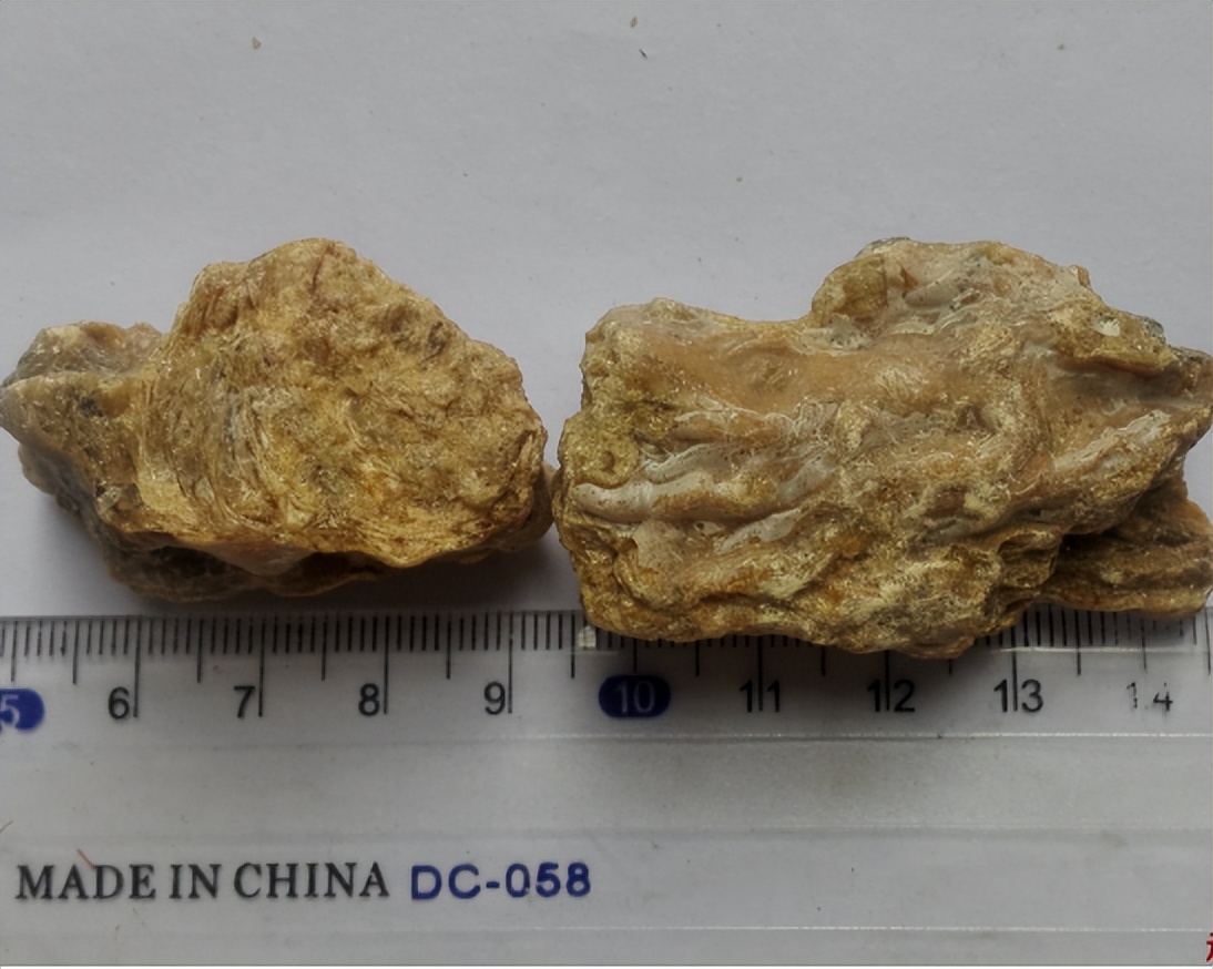 怎么识别煤琥珀,琥珀用水怎么样识别真假