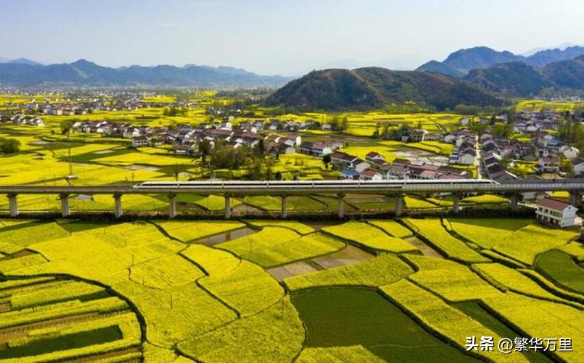 汉中市各区县城市面积,汉中市区划分图