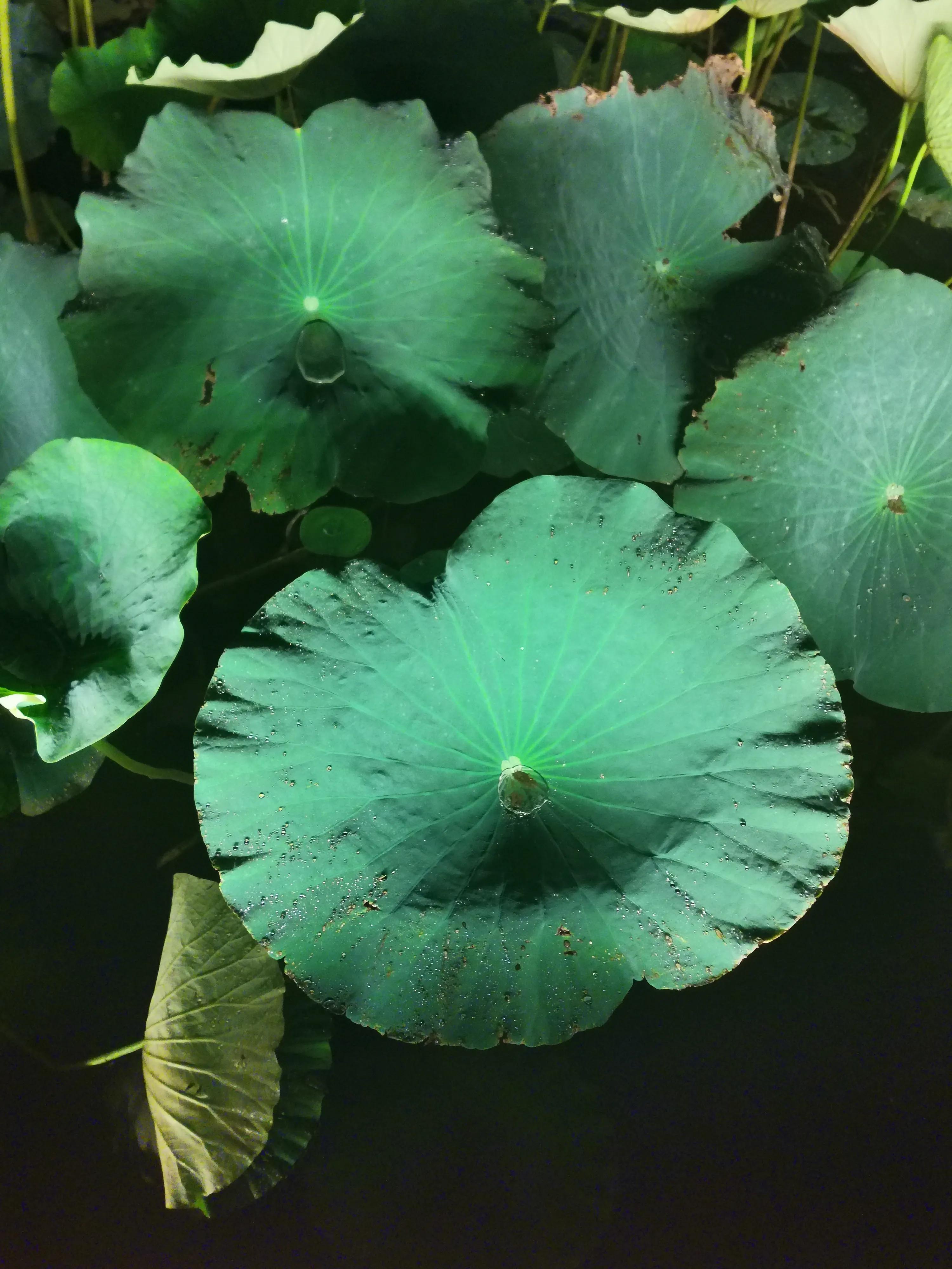 有禅意的楹联,隐居的五言楹联