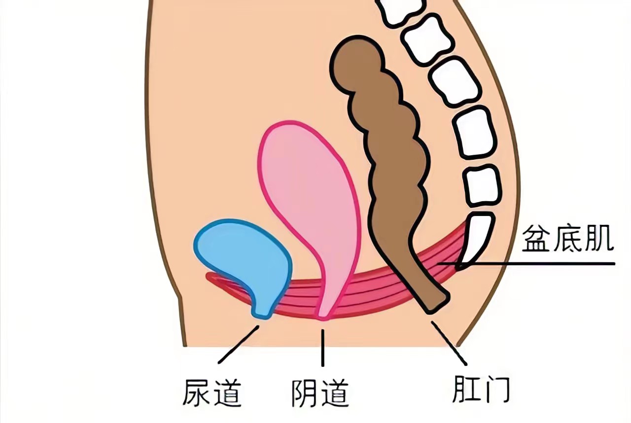 女性身体五个部位的正确清洗方式,洗洗更健康分解教程