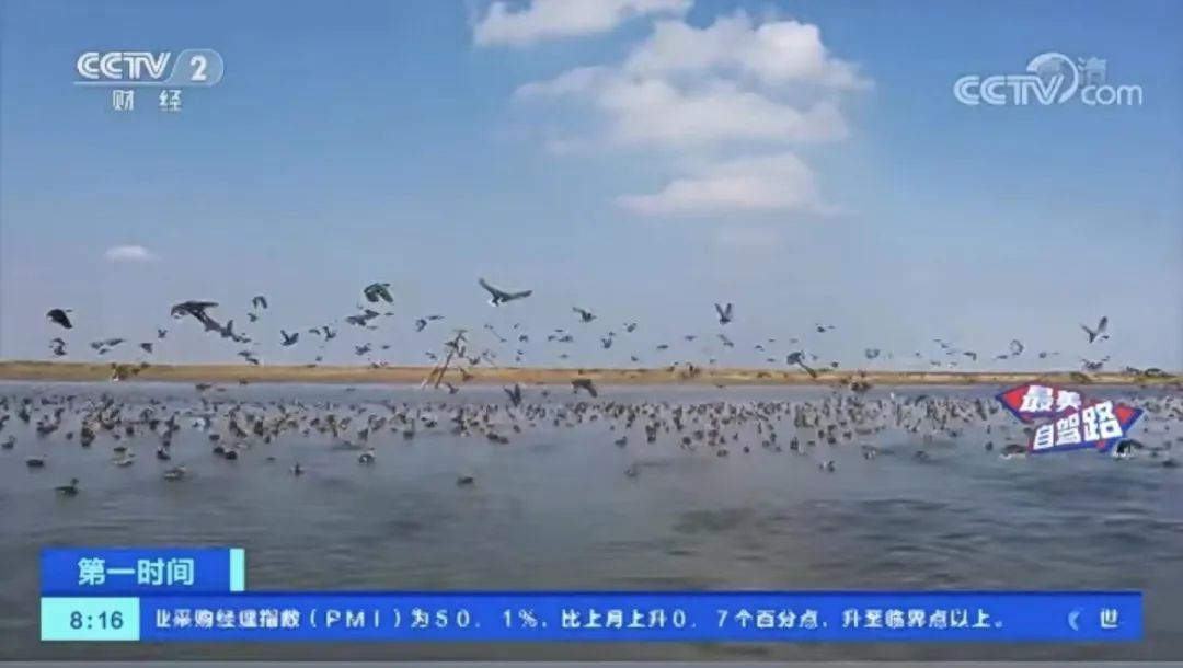 《新闻联播》点赞！国庆假期前两天，央视多个栏目连续聚焦盐城