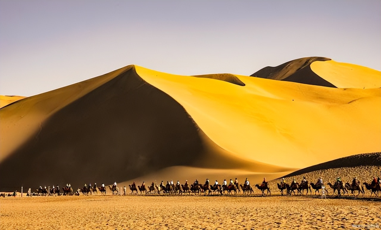苏合香真假,苏合香哪个产地的最好
