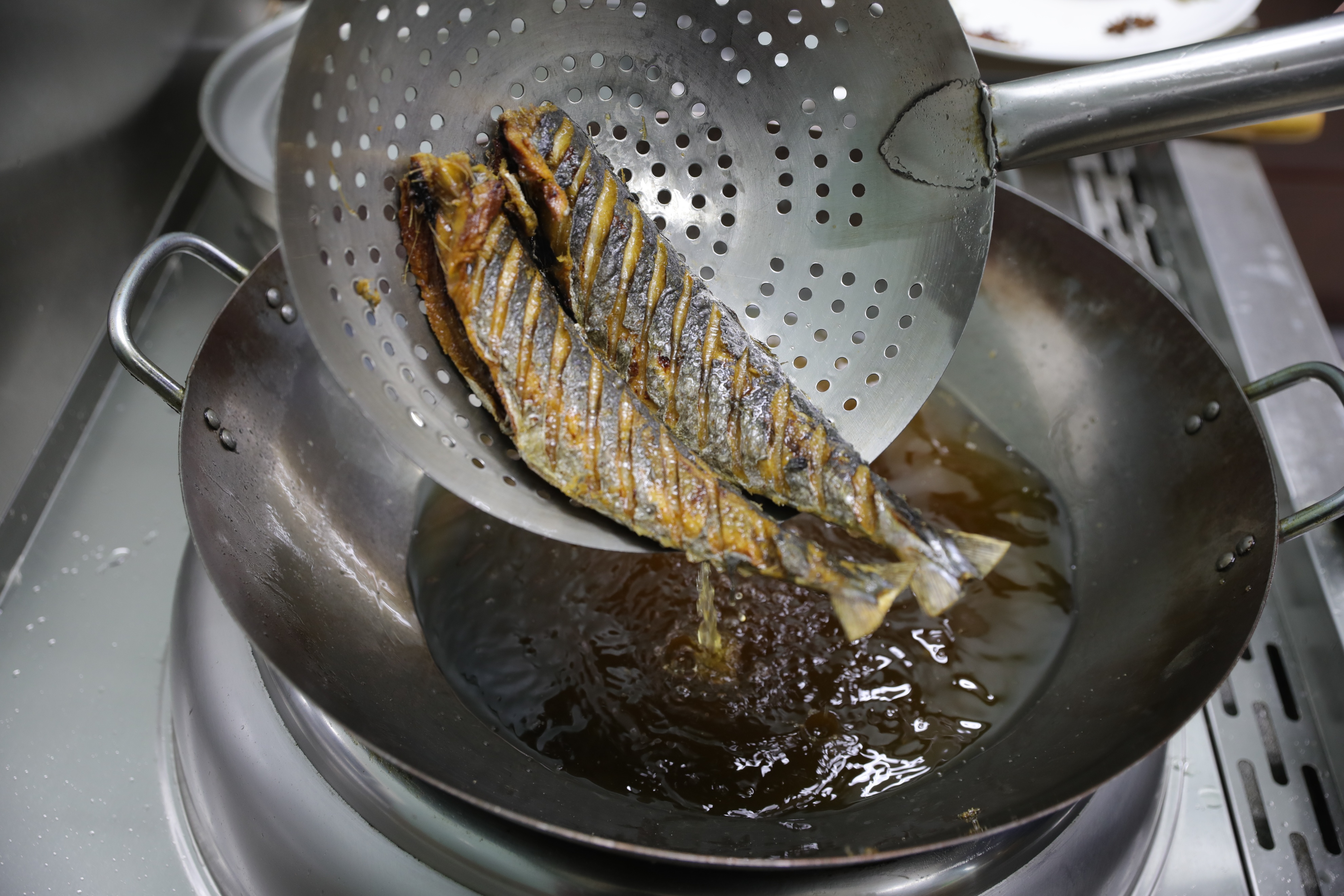 要吃鱼的观赏鱼,无人工养殖的野生鱼有哪些