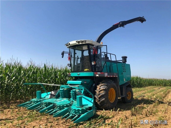 五征倍托H13青饲料收获机,深得“老司机”欢心