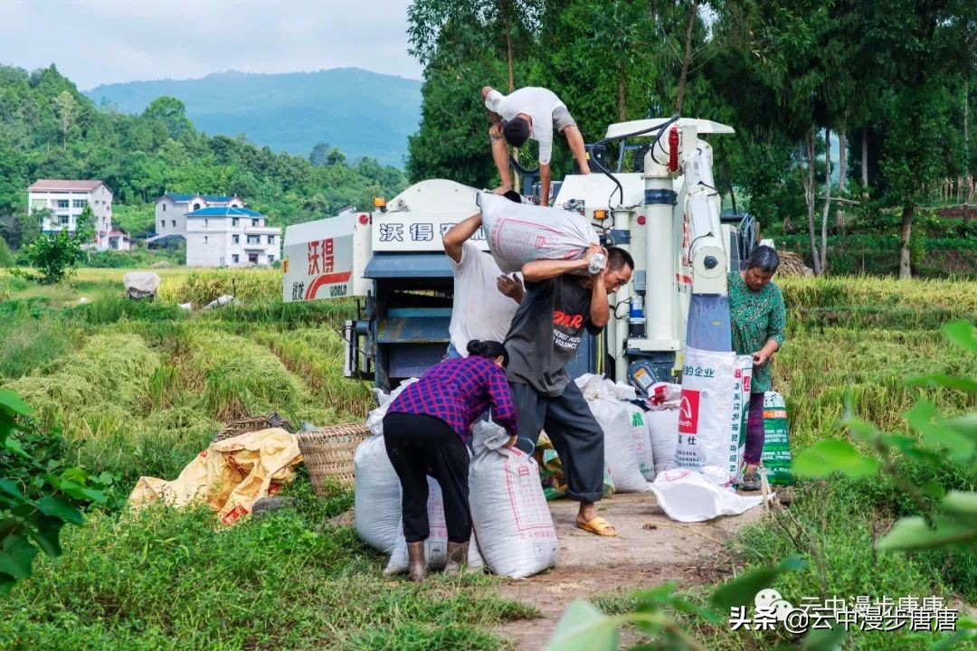 岳池旅游景点大全推荐,行走的美景