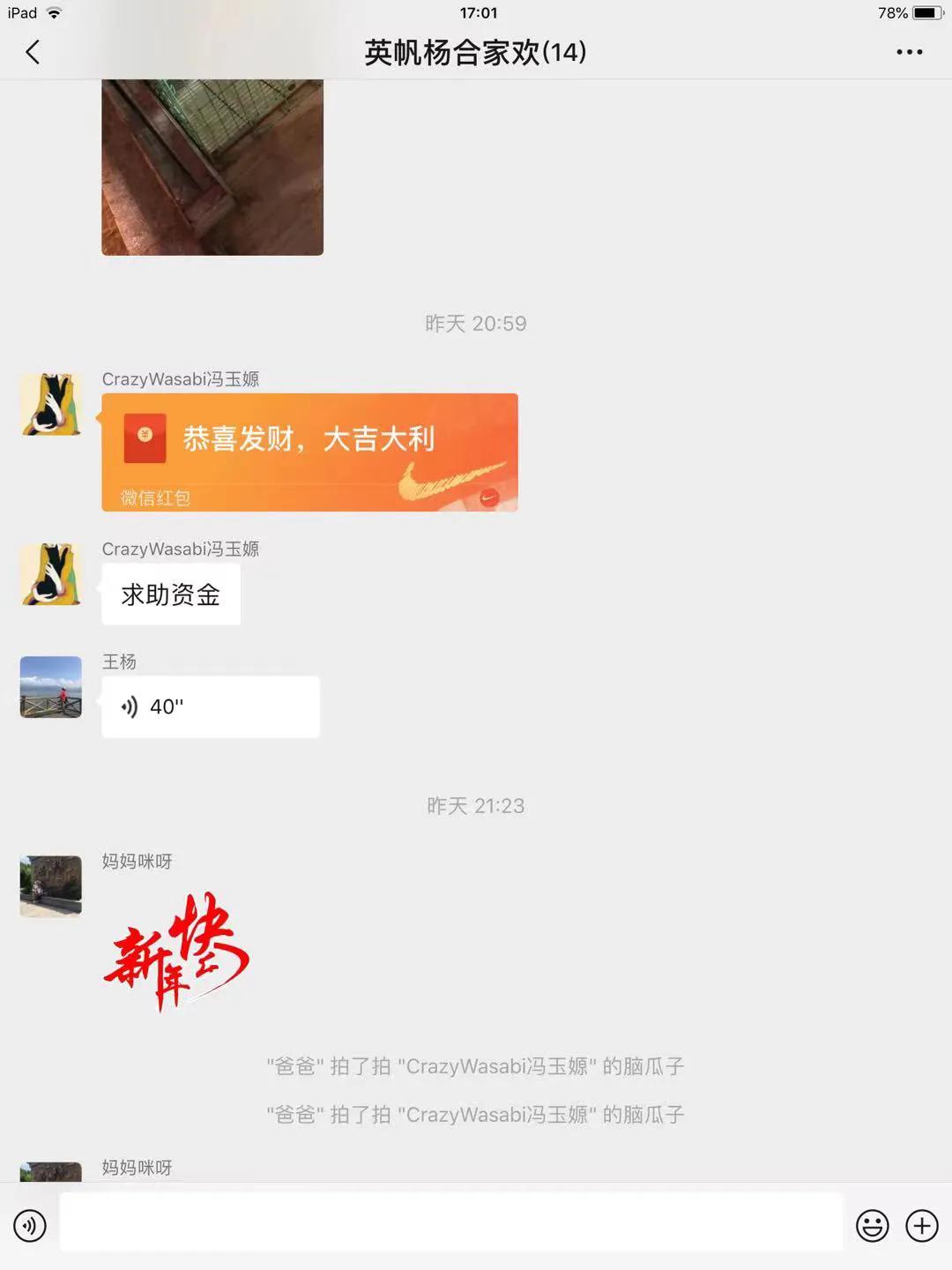 流浪猫大黑被收养后的日常生活,流浪猫大白很晚回来