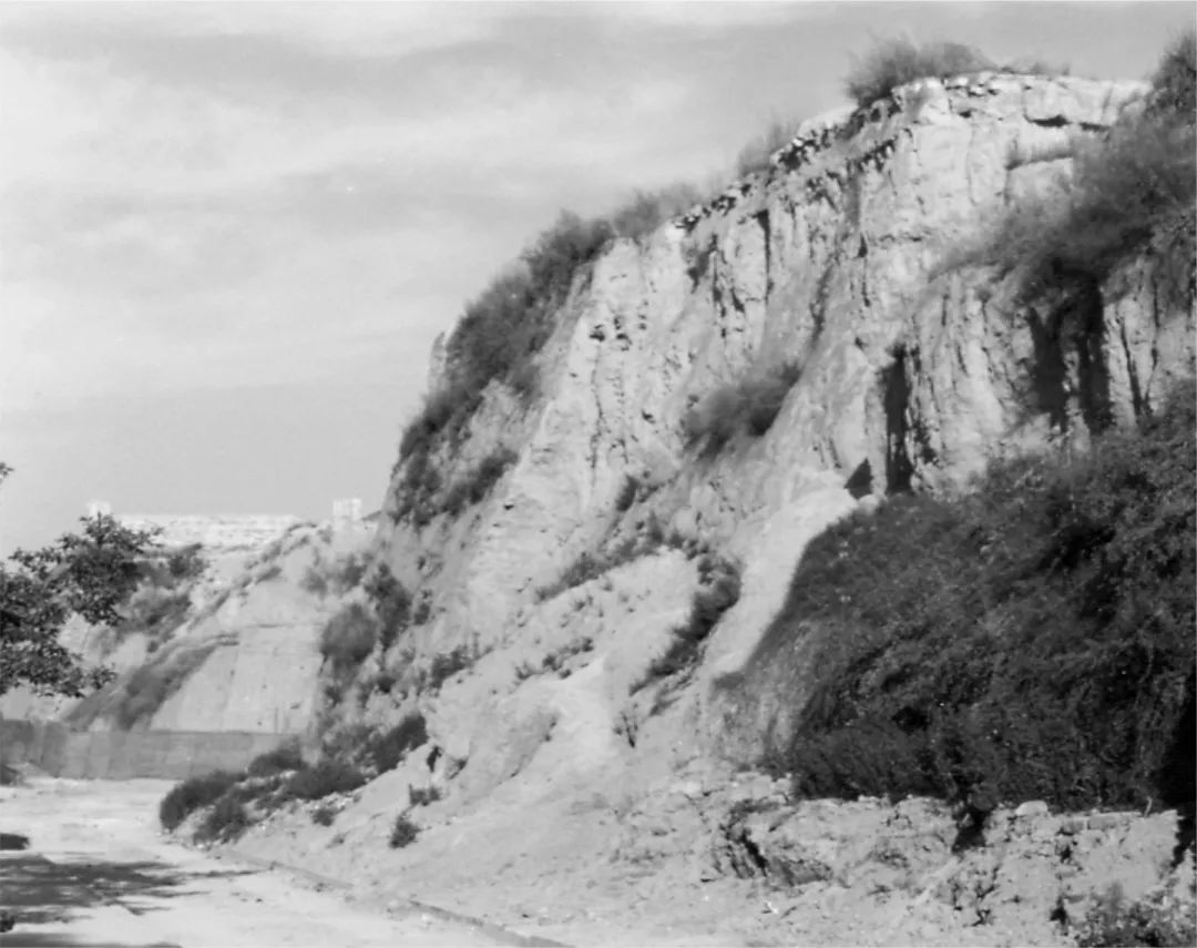 给西安这位1440岁的“老朋友”拍组大片,是什么体验?