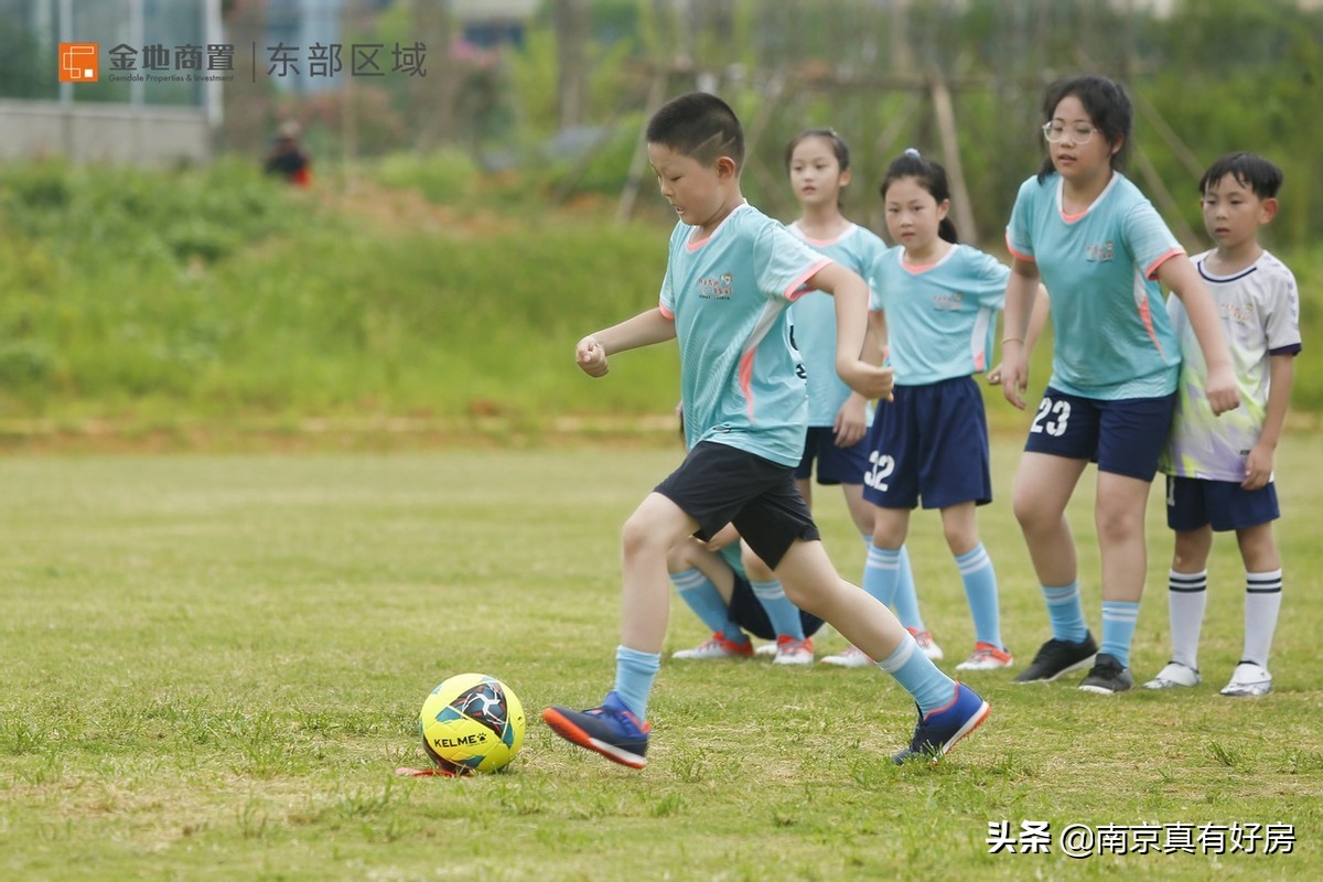 金地商置东部区域有限公司,金地商置新春