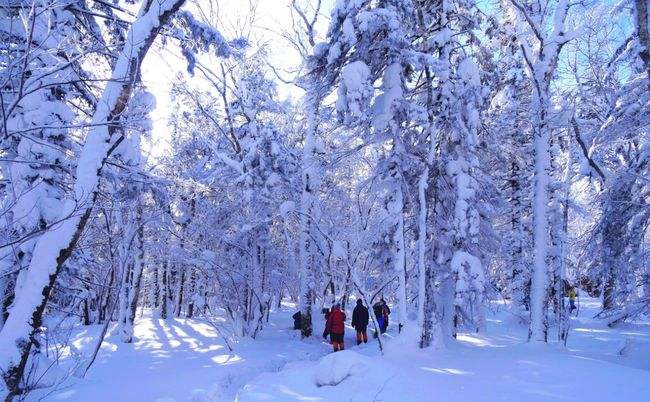 新中国成立之后，先后裁撤了8个省，你可知道是哪8个？