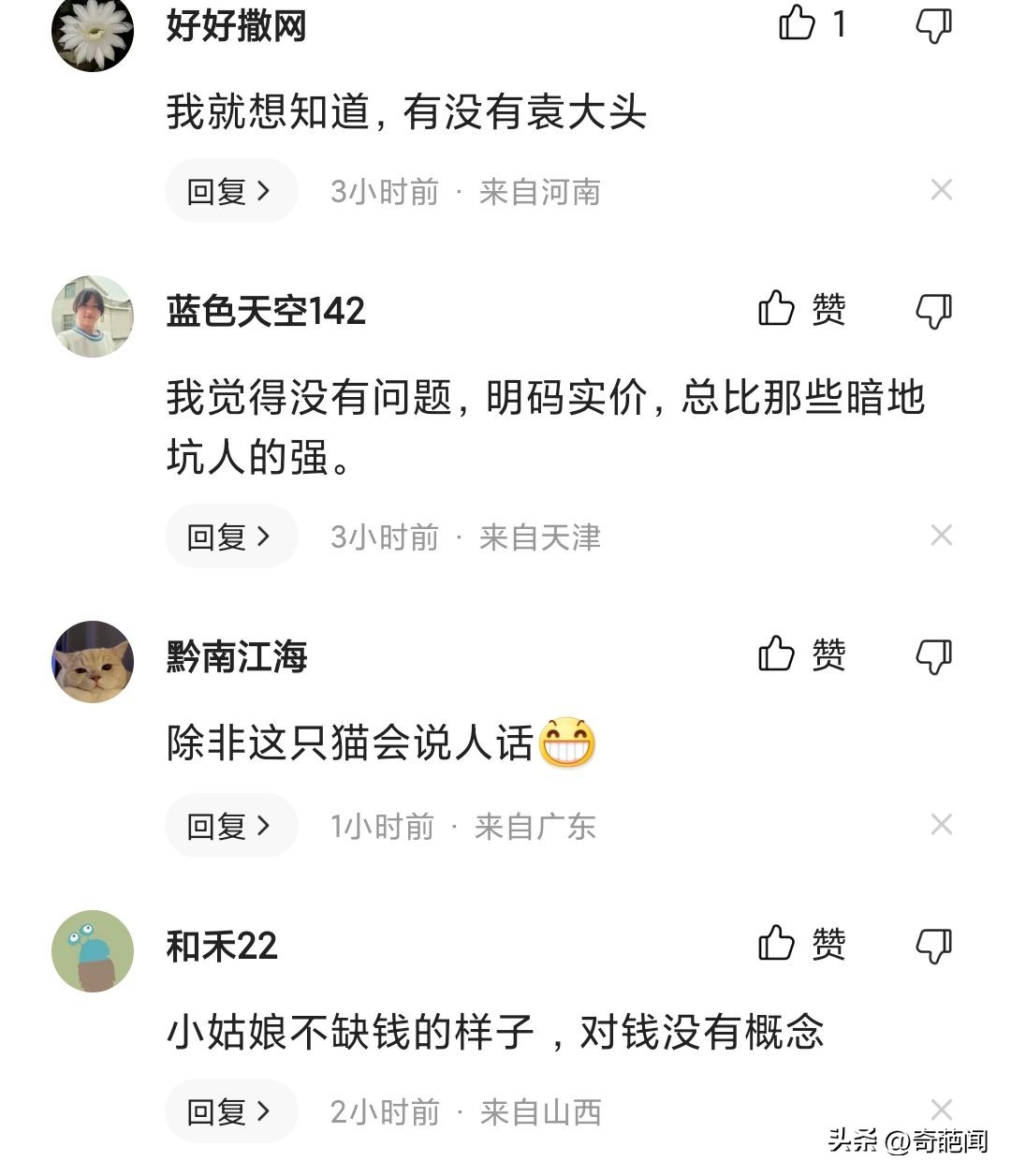 女孩带猫摆摊卖猫,00后创业卖猫