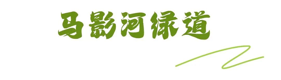 秋日暖阳骑行绿道,骑车绕城绿道值得打卡的推荐