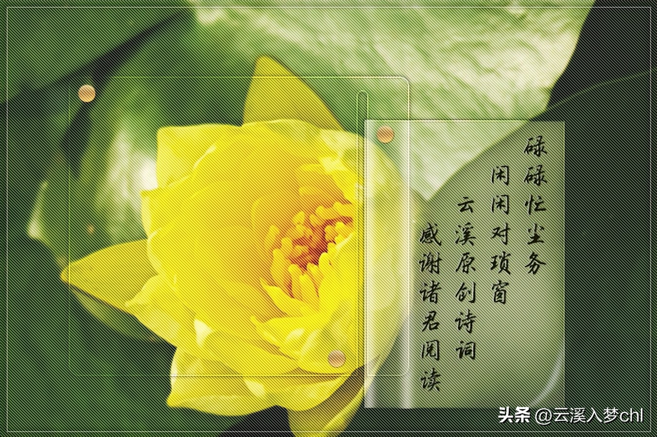 七夕词适合什么词牌,七夕诗句有哪些