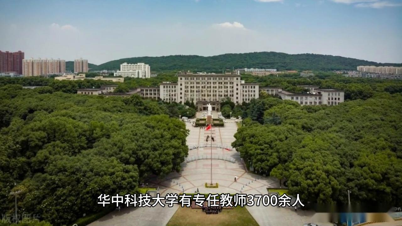 磊说985：第15期---华中科技大学#大学专业