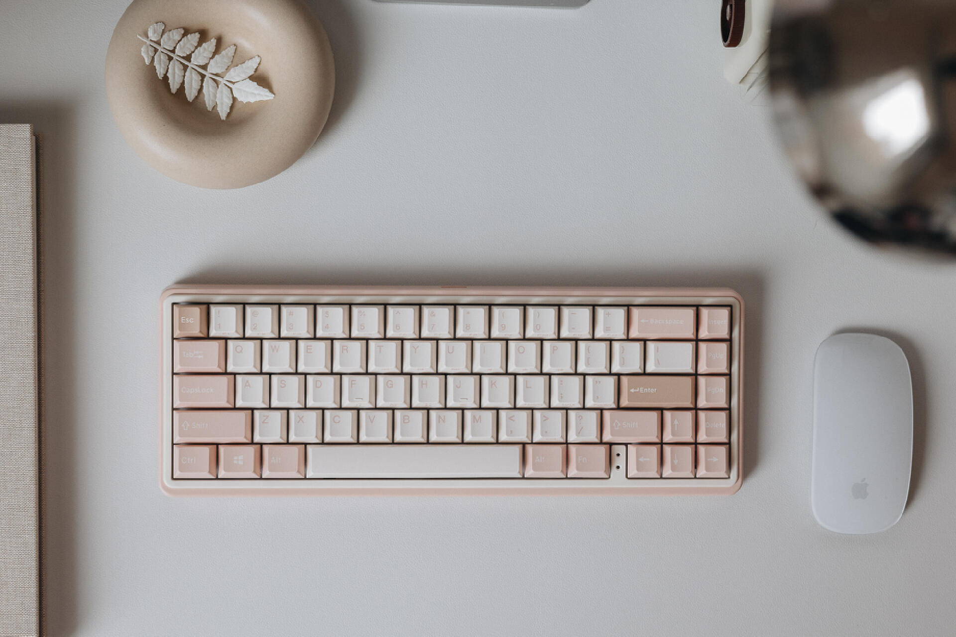 四线网红这个月又买了什么｜23年3月