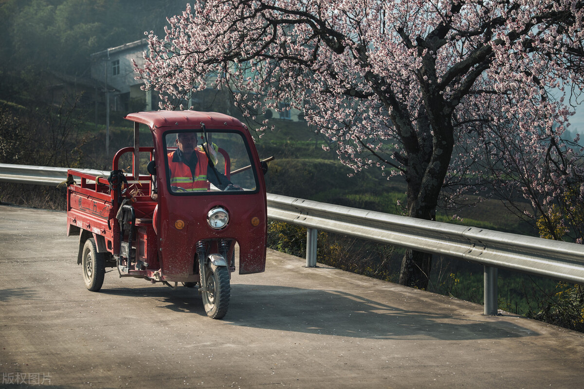 基层青年干部为乡村振兴助力,作为青年干部怎么助力乡村振兴