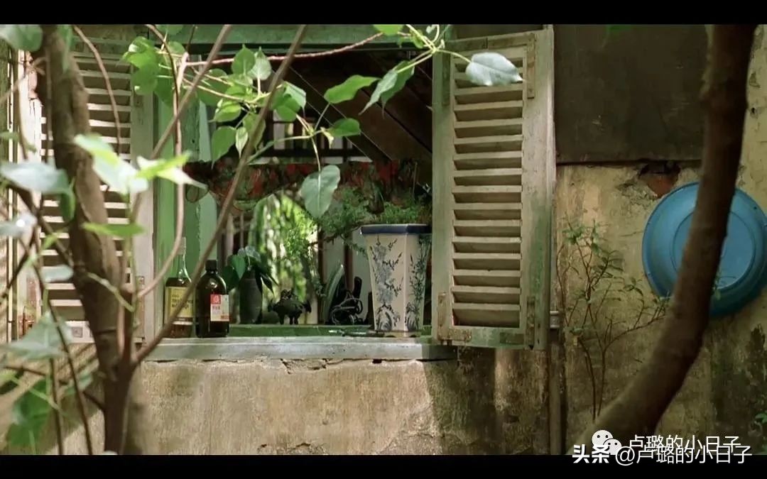 7部让你想走就走的旅行电影,吐血推荐8部关于旅行的电影