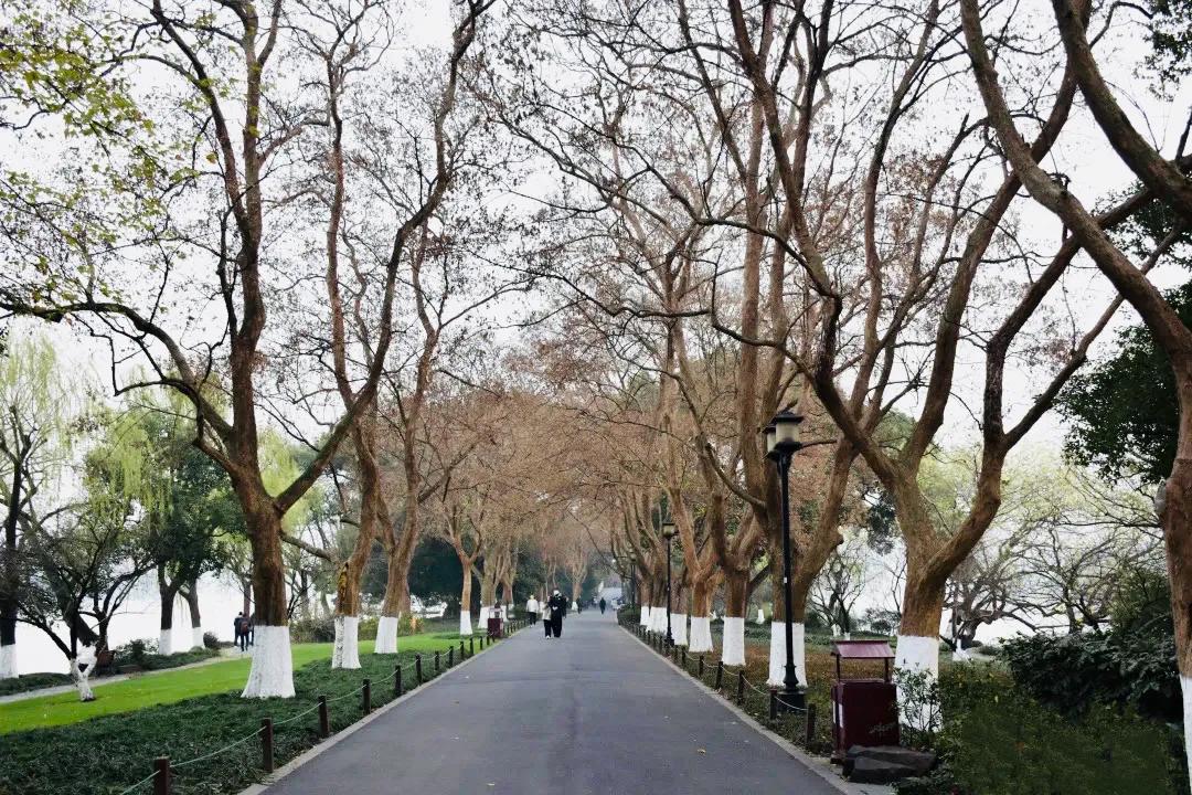 杭州西湖大雪纷飞,杭州西湖风景名胜区