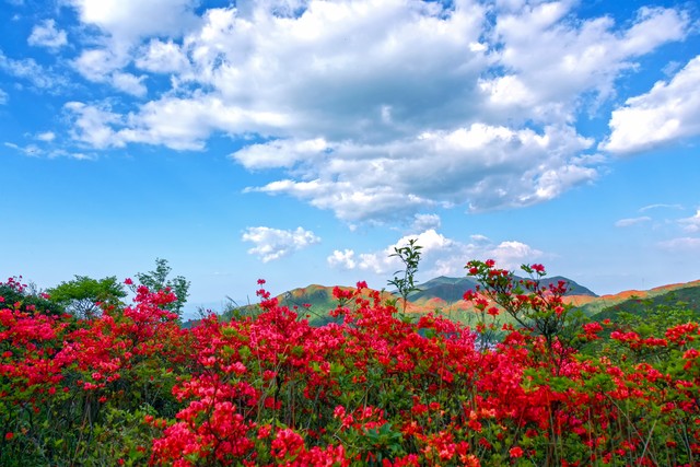 10个省钱小习惯,存住钱的最好办法是什么