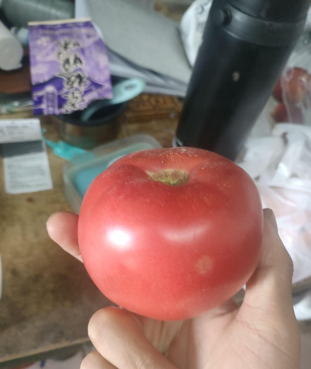 应届生比亚迪二厂,比亚迪青海分公司待遇