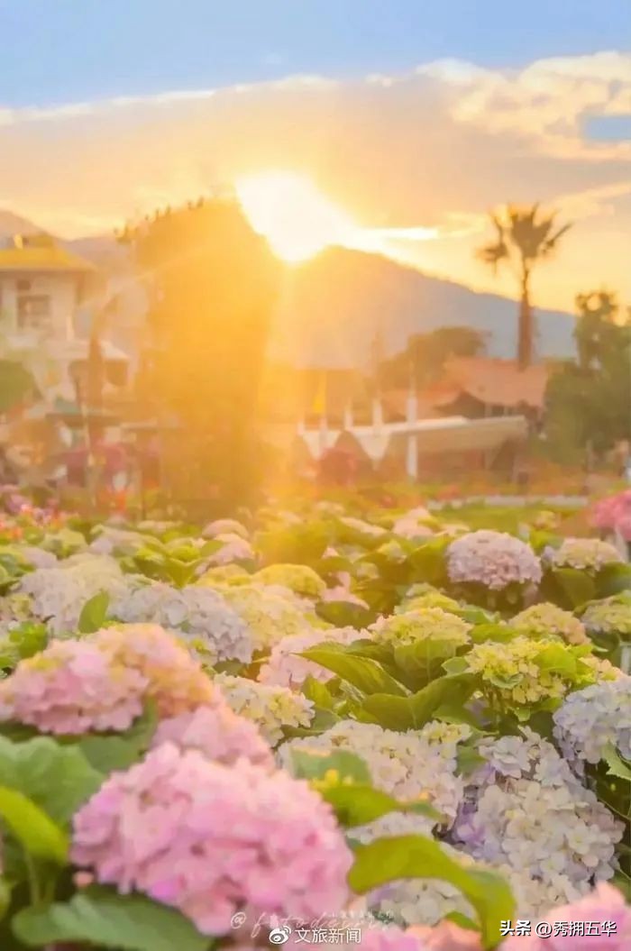 周末去哪里玩最合适昆明,昆明景点莫奈花园