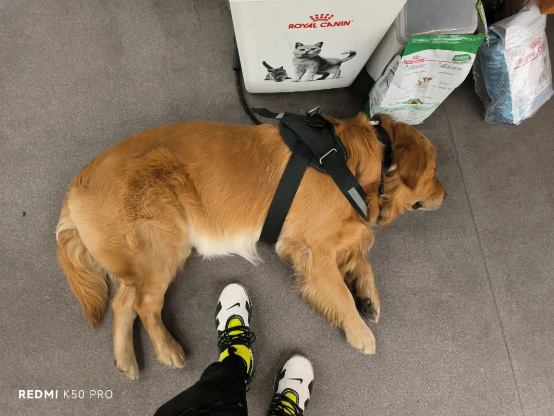 2999的天玑9300能买吗,目前值得购买的天玑9000