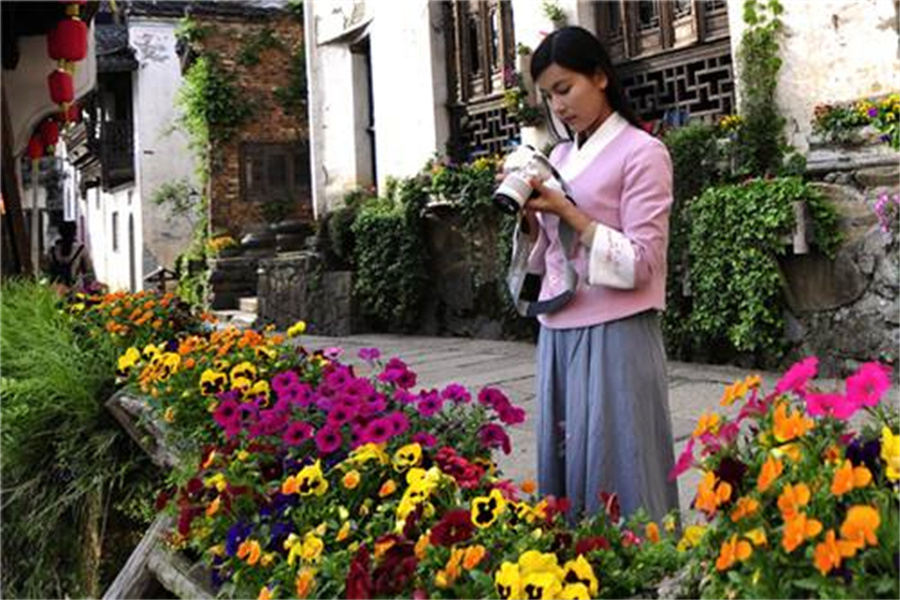 蜜月旅行攻略视频,蜜月旅行攻略必备