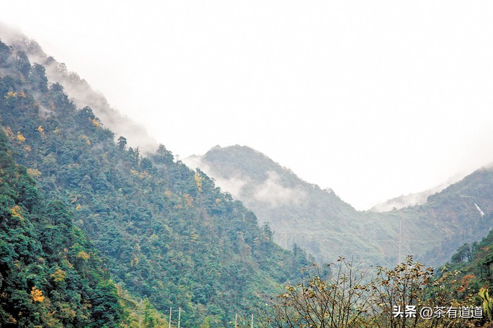 川藏南线茶马古道,四川荥经茶马古道路线图