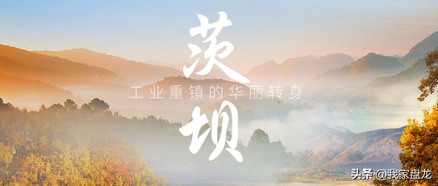 芳华正茂书法,芳华正茂豪情于心