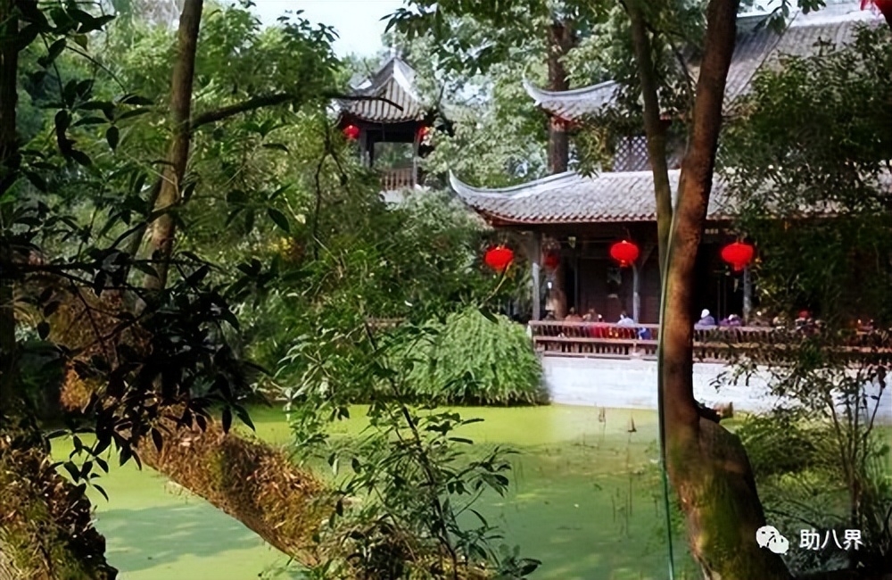 成都高新区景点打卡,成都网红桥打卡景点