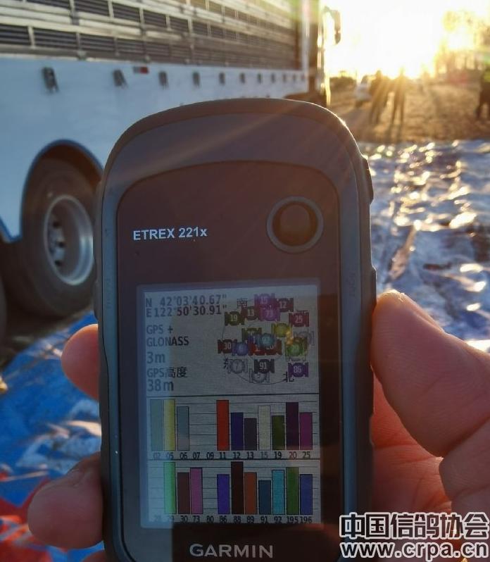 高分速高归巢！“世界杯”唐山阳光站第四关500公里比赛圆满收官