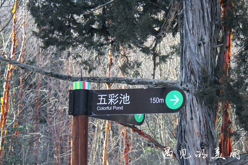 如果一生只去一个古城,一生去一次九寨沟