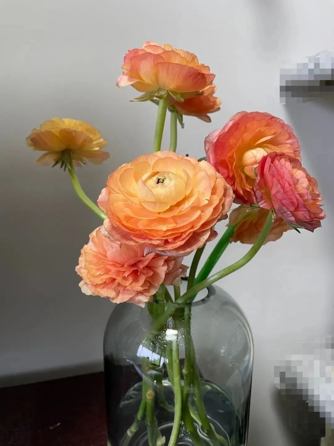 新手必看鲜花养护攻略,鲜花在水里能养几天会死