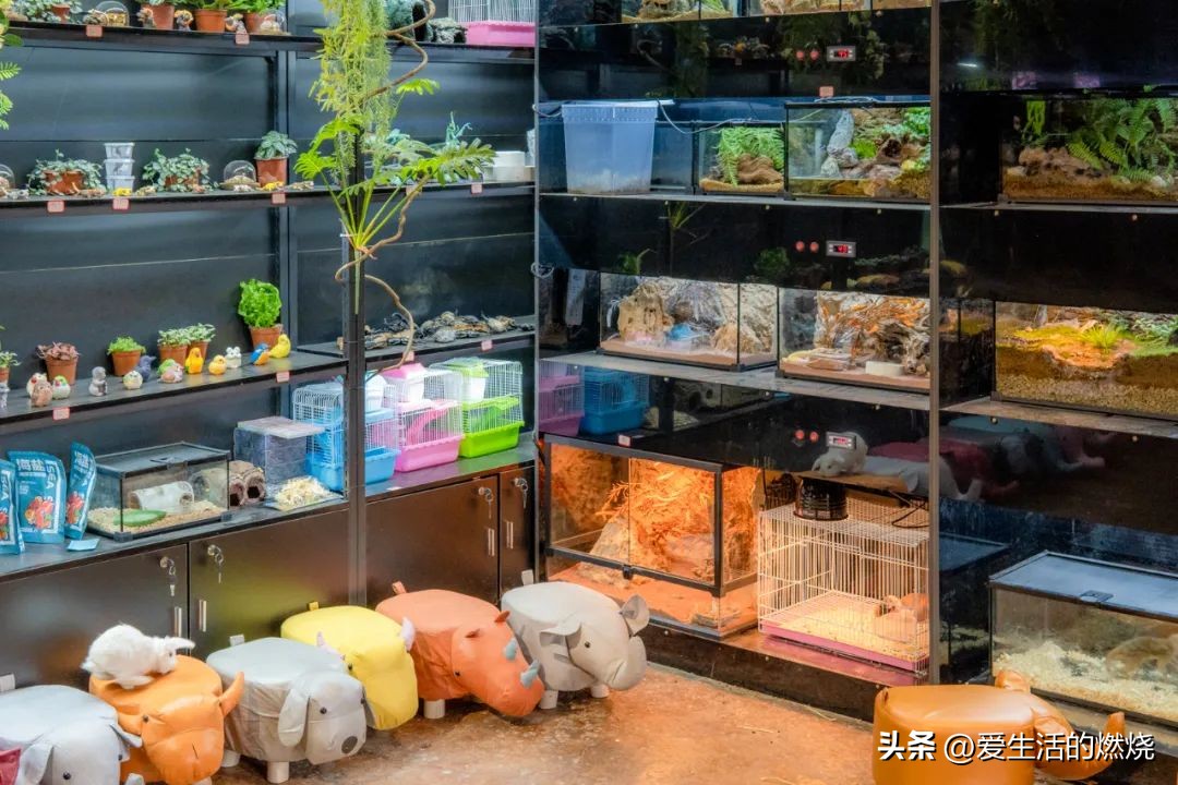 杭州森泊开元度假酒店不含门票,杭州开元森泊度假酒店存在的问题