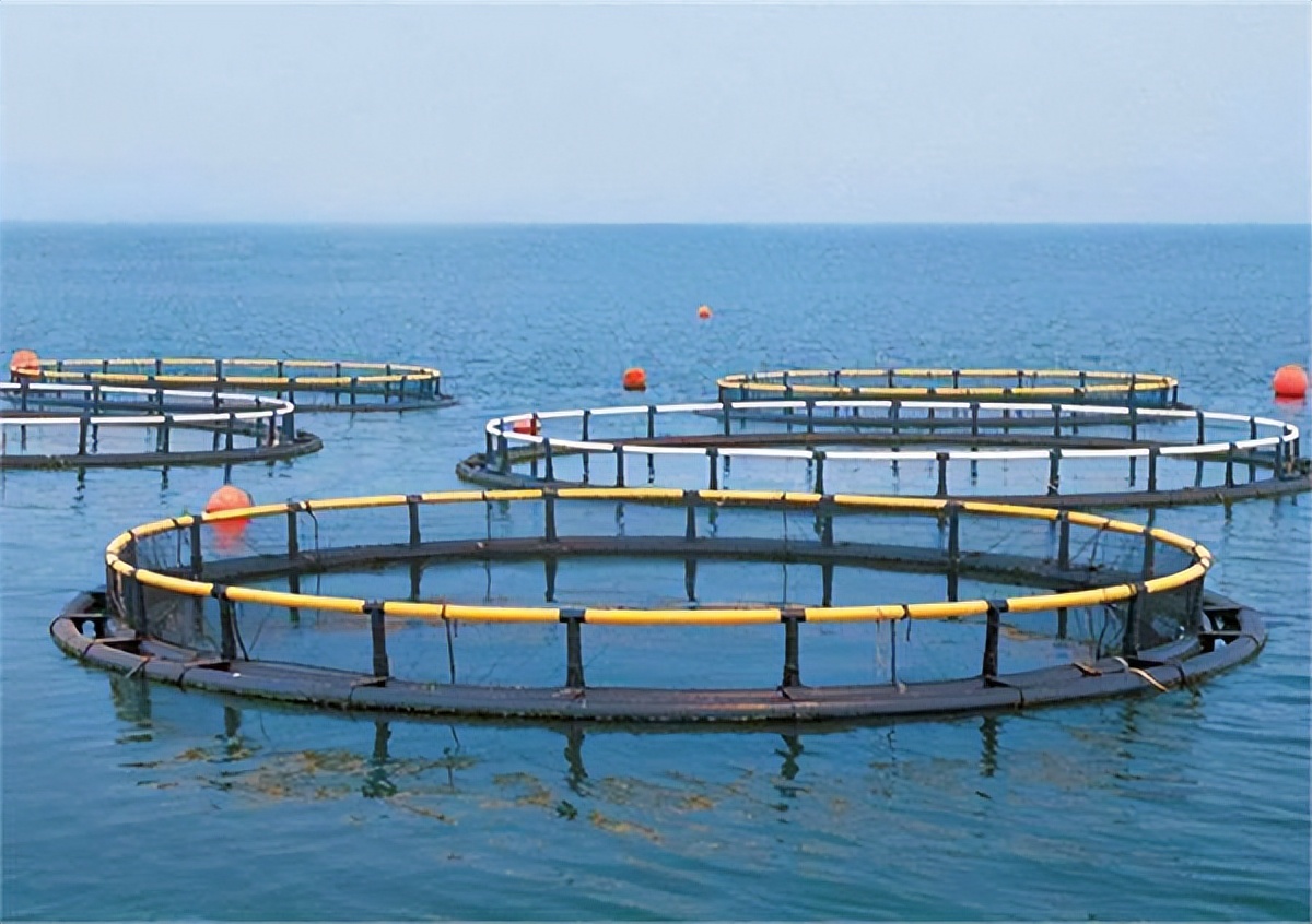 日本进行第二轮排海前准备工作,岸田宣布第二轮排污入海