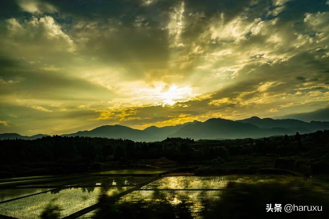 天下厨房滁州,天下厨房大阪