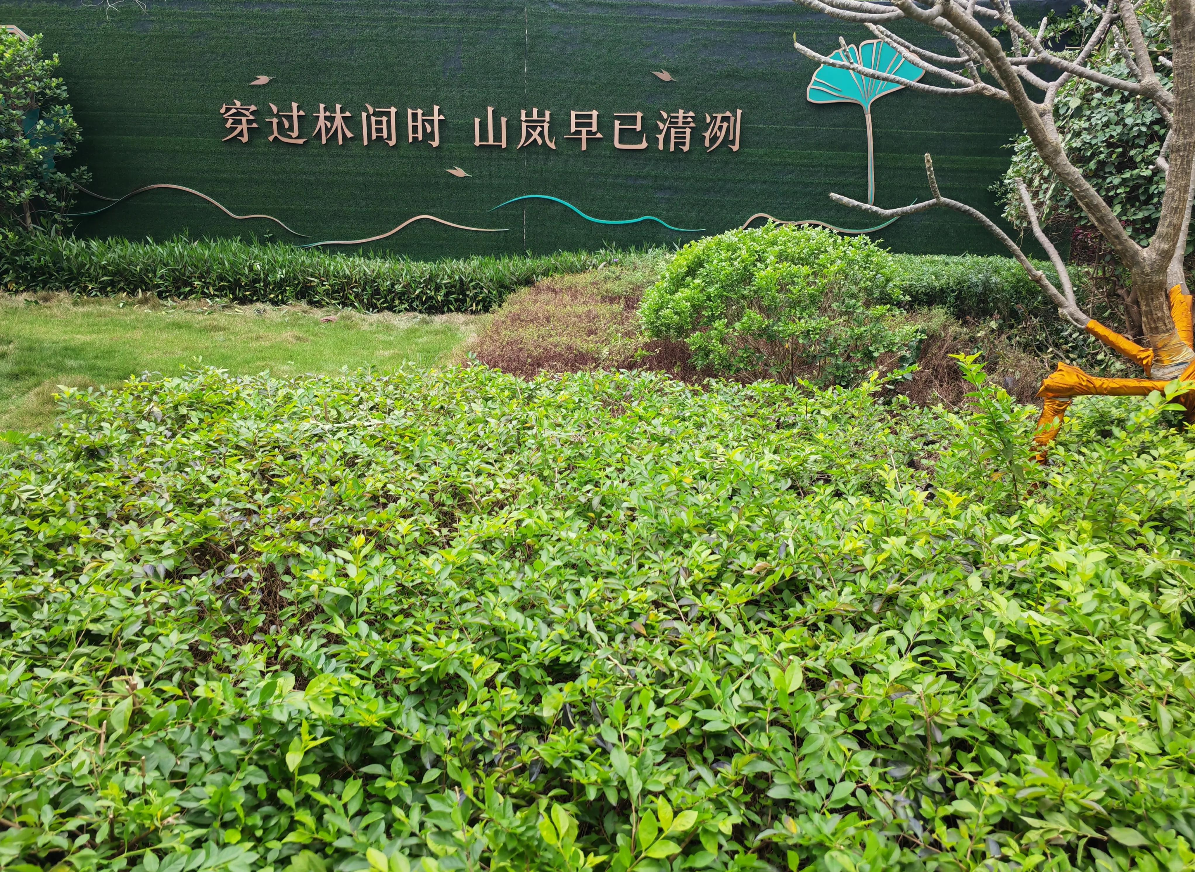 唯美的句子生活是童话,美好生活的唯美文字