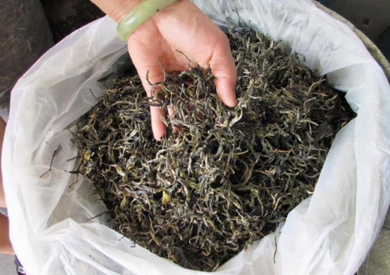 散茶为什么不能喝,随便买的茶能喝吗