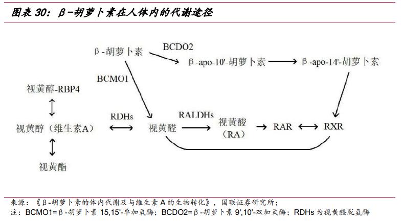 武汉嘉必优生物技术,嘉必优武汉生物