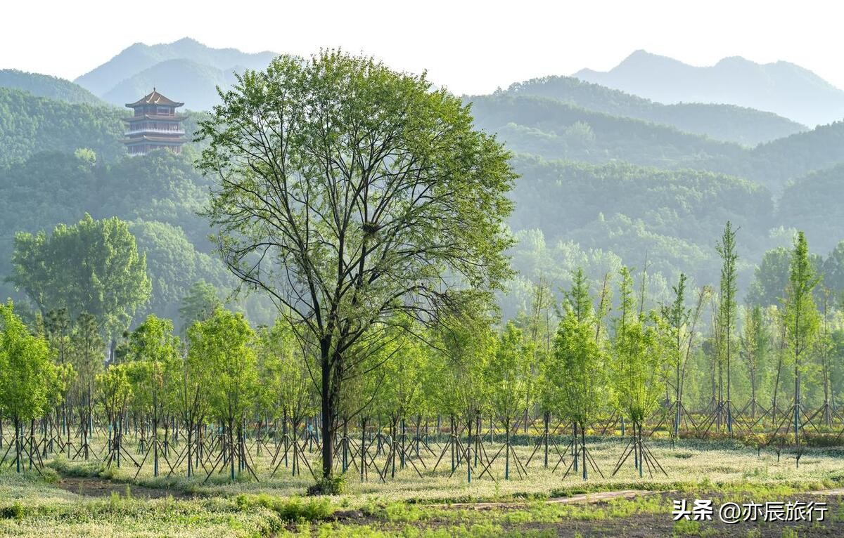 2022年离河南最近的旅游景点推荐,河南适合摩旅的免费旅游景点大全