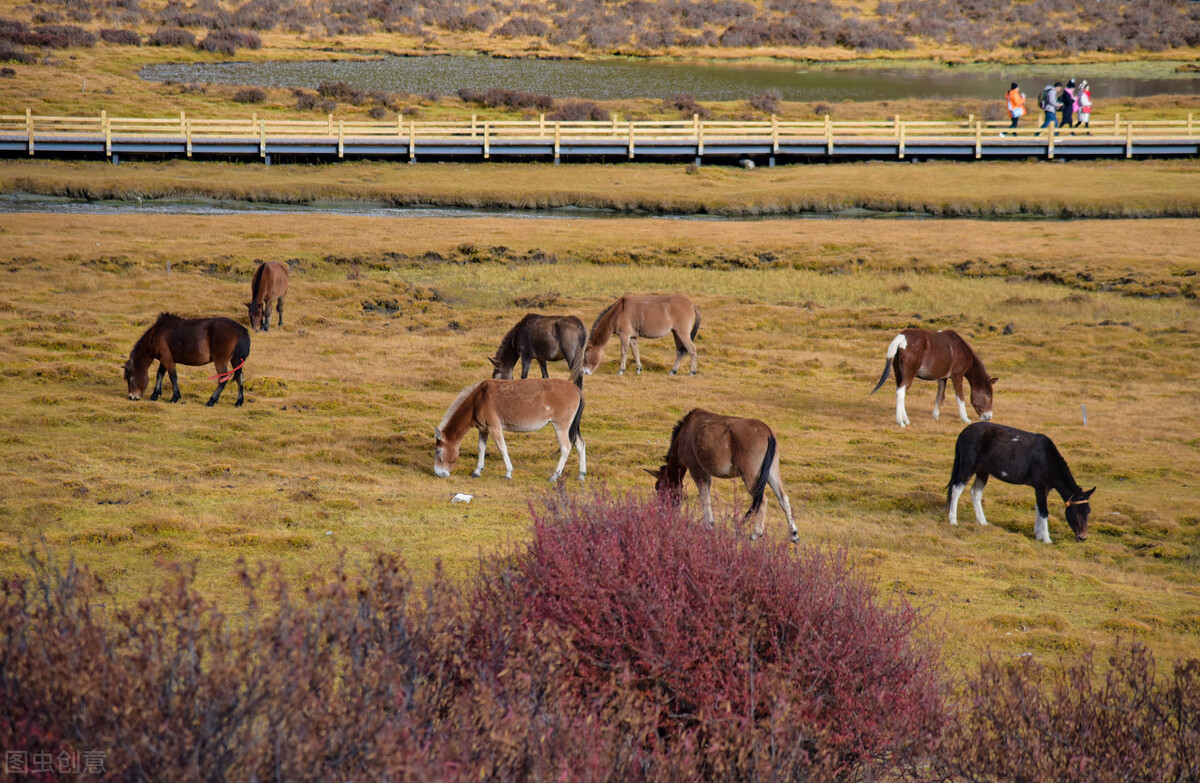 稻城亚丁真的好吗,稻城亚丁真的有这么好看吗