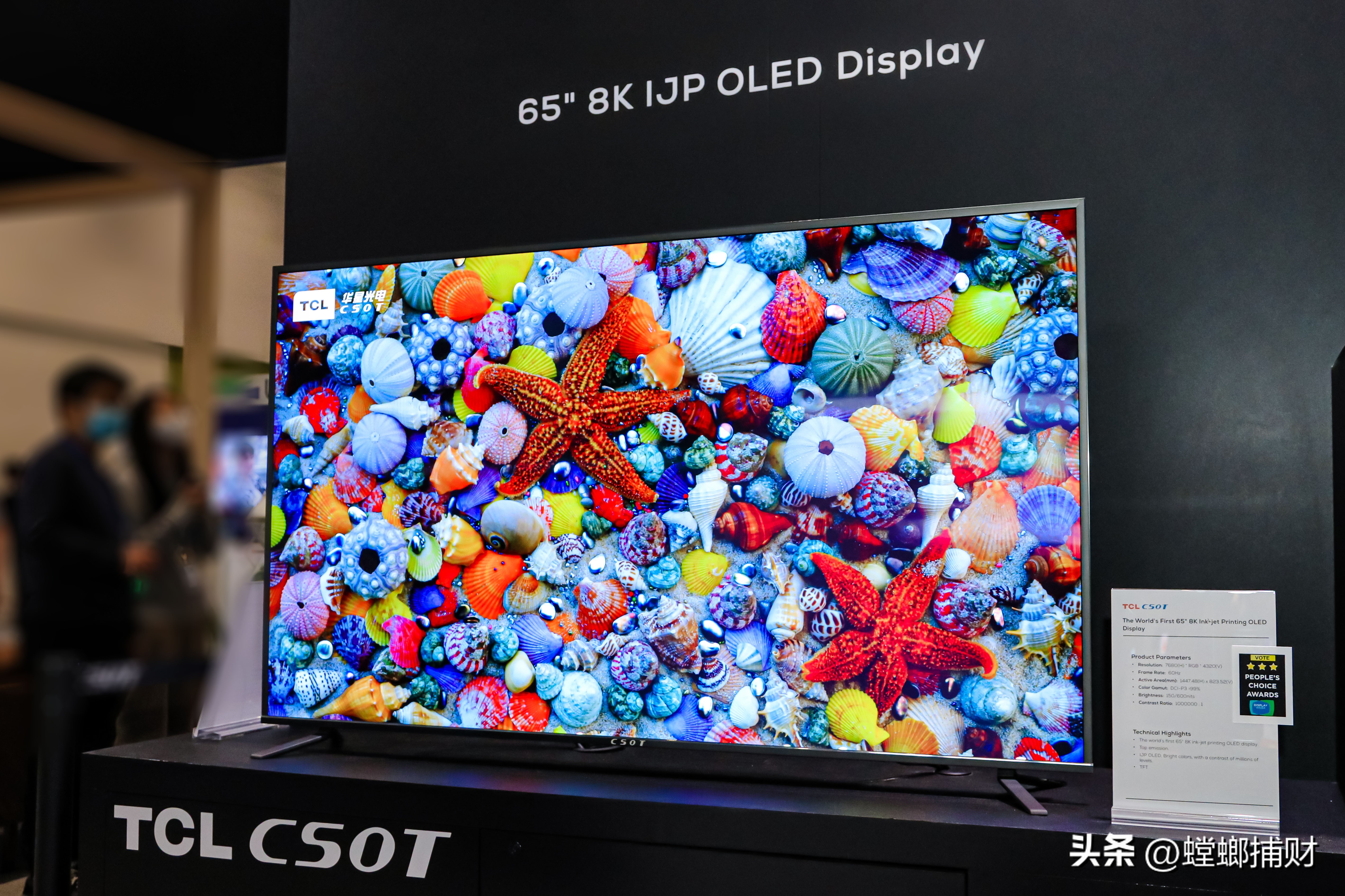 tcl科技面板未来展望,tcl科技2024年1月面板