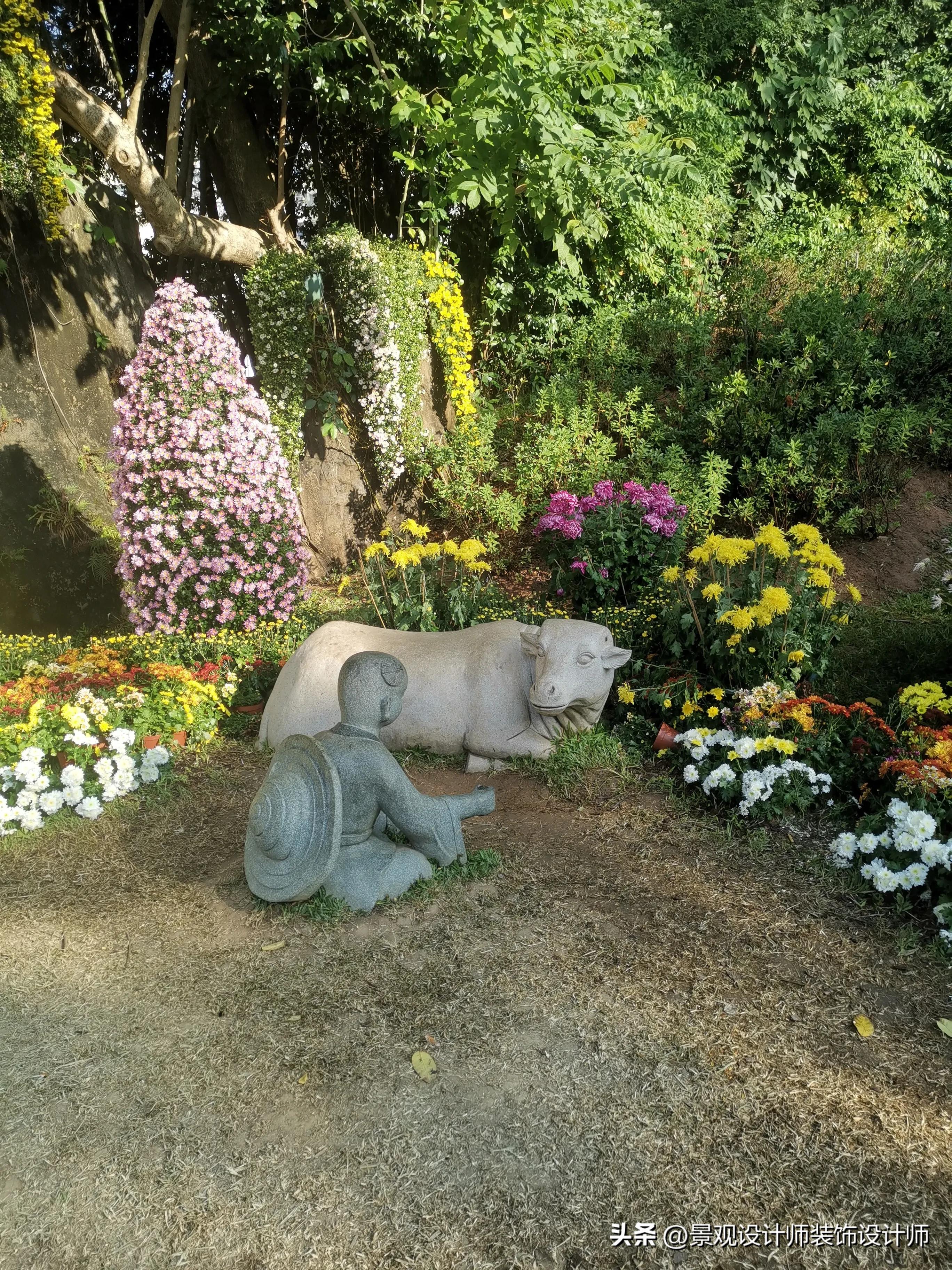 深圳市东湖公园广场舞,深圳市东湖公园收费标准