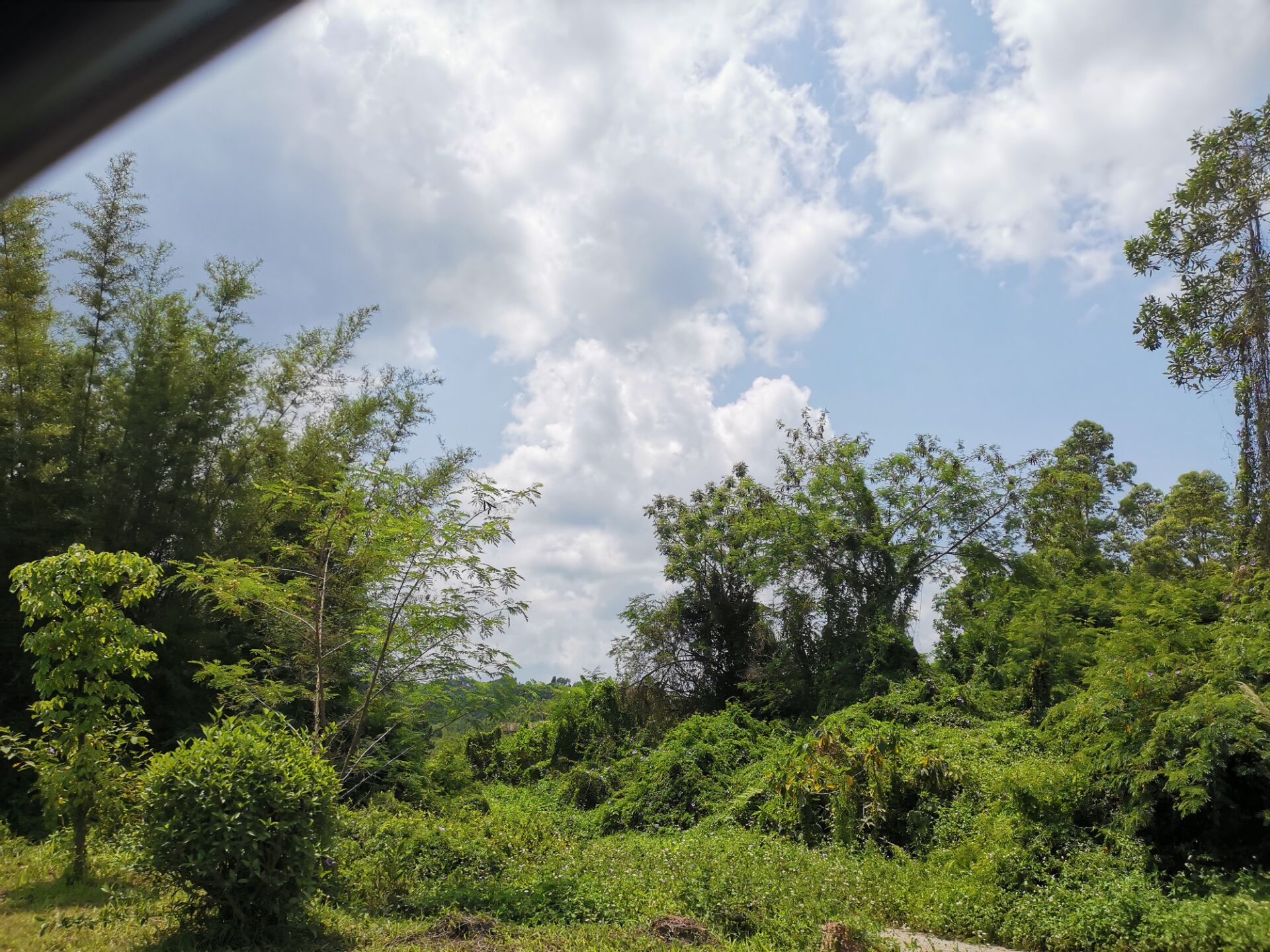 高一英语必修一unit1读单词,高一英语必修一单词2-3单元