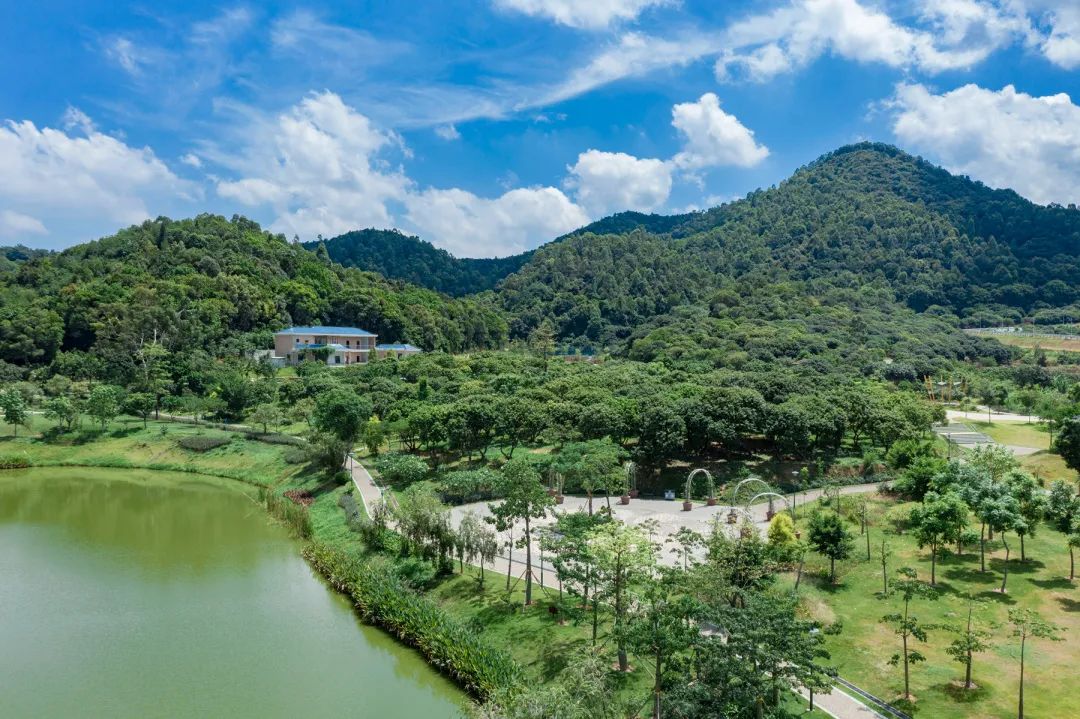 趣宝安旅游攻略,深圳宝安吃玩旅游攻略