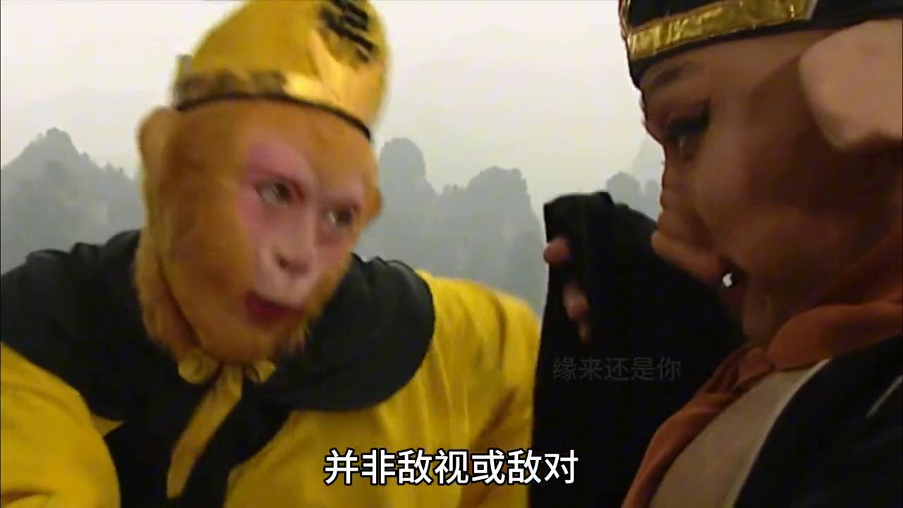 猪八戒在现代职场适合什么职位,猪八戒在职场中的定位