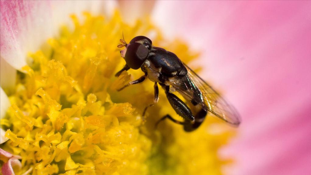 八岁女孩儿被附身,八岁小女孩鬼魂附体的秘密